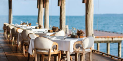 Odoo ERP for Casual Dining Restaurants in Northern Emirates Menu Engineering to Table Service Powered by Zolute