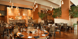 Odoo ERP for Takeaway Only Restaurants in Northern Emirates Order Aggregation POS and CRM by Zolute