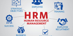 Zolute Customized HRM Software for a Corrugation Company