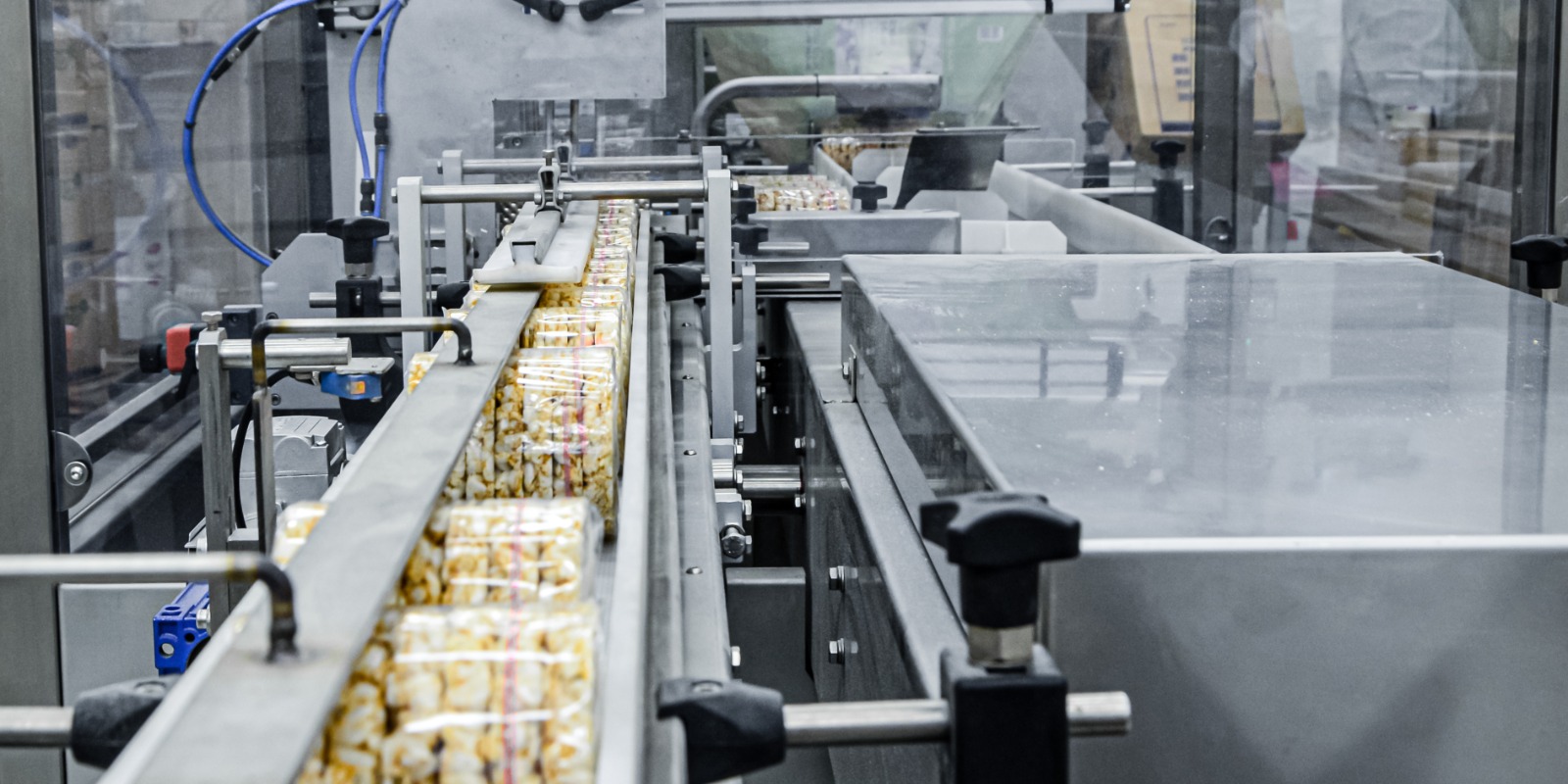 Transforming Egypt Agriculture  Food Processing in Alexandria with Zoho