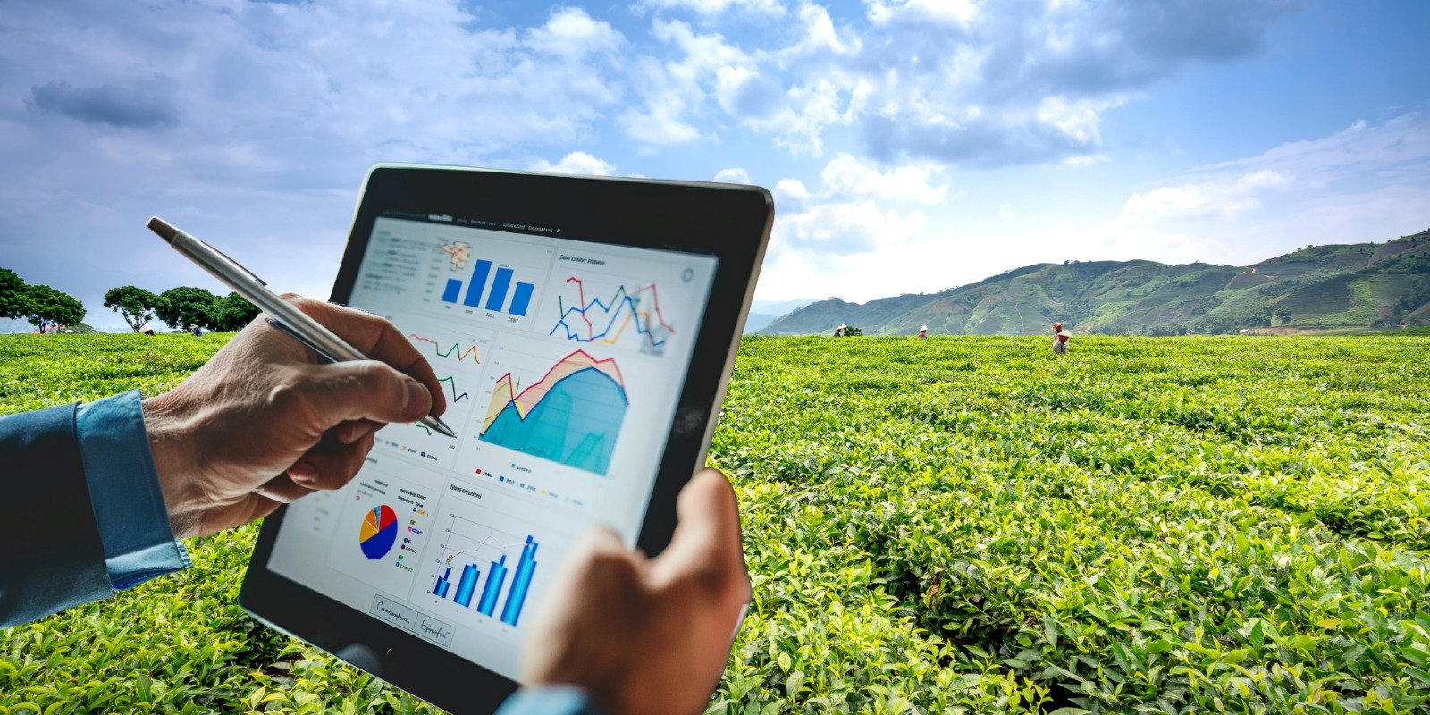 Transforming Moroccos Viticulture Industry with Zoho CRM