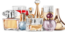 Odoo ERP for Perfumes and Cosmetics Retail in Ajman Batch Tracking and Personalized Customer Engagement with Zolute
