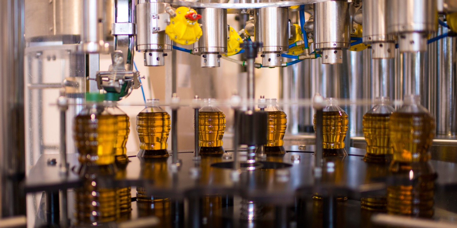 Optimizing Olive Oil Production in Sousse Tunisia with Odoo ERP Traceability Quality and Efficiency for Agricultural Success