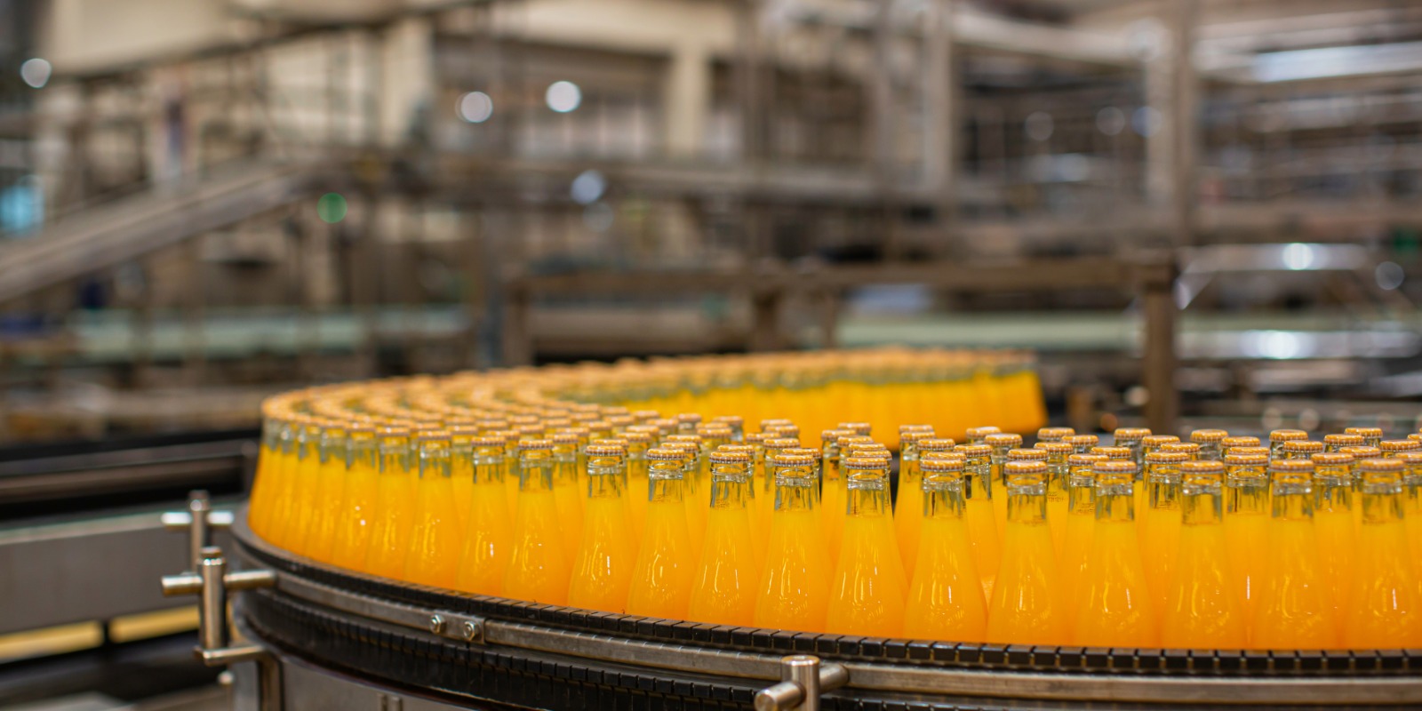 Transforming Algerias Beverage Industry in Setif with Zoho