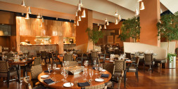 Streamlining Multi-Floor Restaurant Operations with Zolute IT Solution