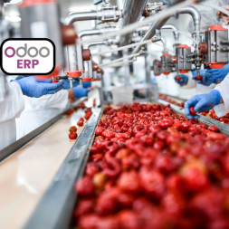 Odoo ERP for Food Processing in Abu Dhabi  Automate Batch Control Expiry Management and Traceability with Zolute