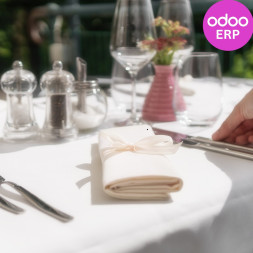Odoo ERP for Fine Dining Restaurants in Abu Dhabi Integrated with Hotel Systems Smart Menu Pricing Reservation Management