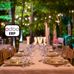 Odoo ERP for Casual Dining Restaurants in Dubai Menu Variations Kitchen Coordination Smart POS All in One