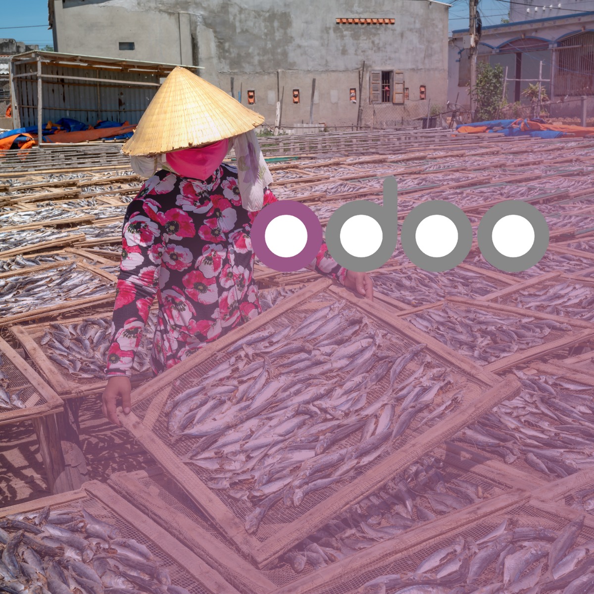 Optimizing Mauritania Fishing Fish Processing Industry with Odoo ERP
