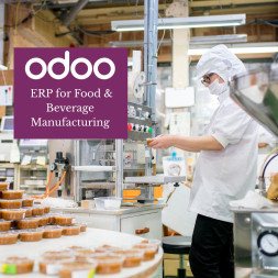 Odoo ERP for Food Beverage Manufacturing in Dubai Streamline Inventory Batch Processing  Compliance