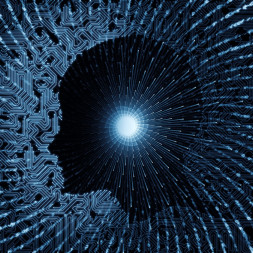 Empowering Dark Web Intelligence with Zolute Custom-Built System