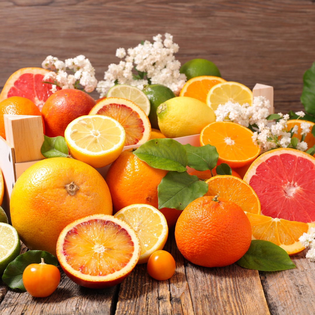 Optimizing Algerias Citrus Farming in Tlemcen with Odoo ERP